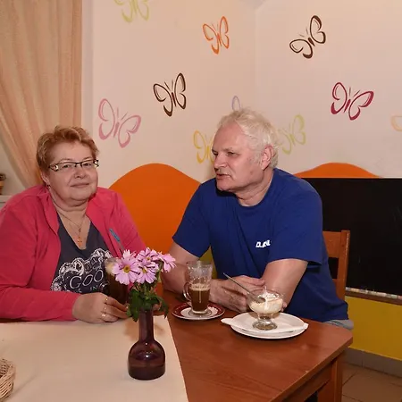 Szálloda *** Bystré